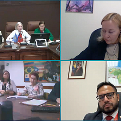 RTU MIREA and Venezuela’s National Institute of Socialist Education and Upbringing Hold an Online Working Meeting 